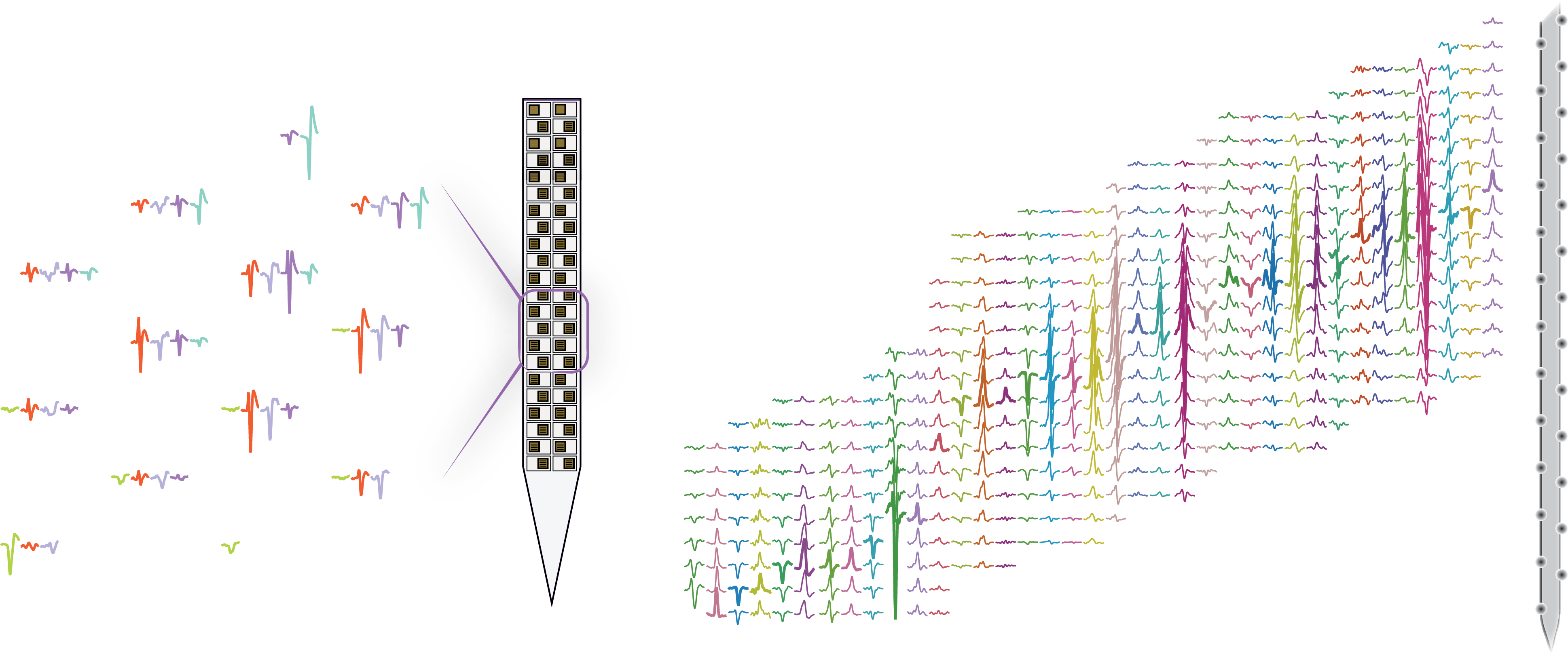 Real Data Example